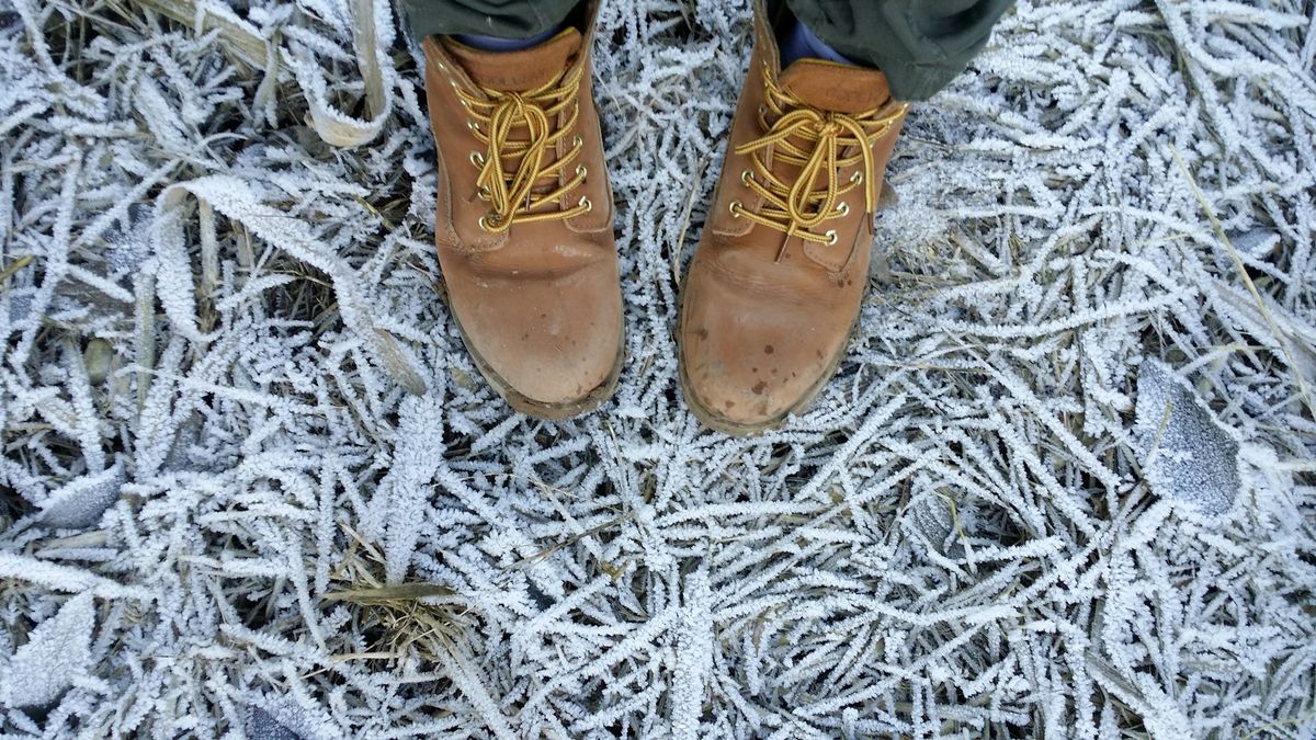 Work boots for Cleveland crews